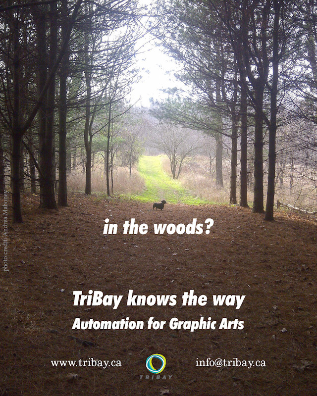 In the woods? TriBay knows the way. Automation for Graphic Arts.
